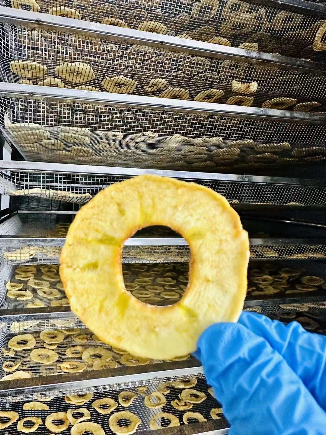 Drying Apples