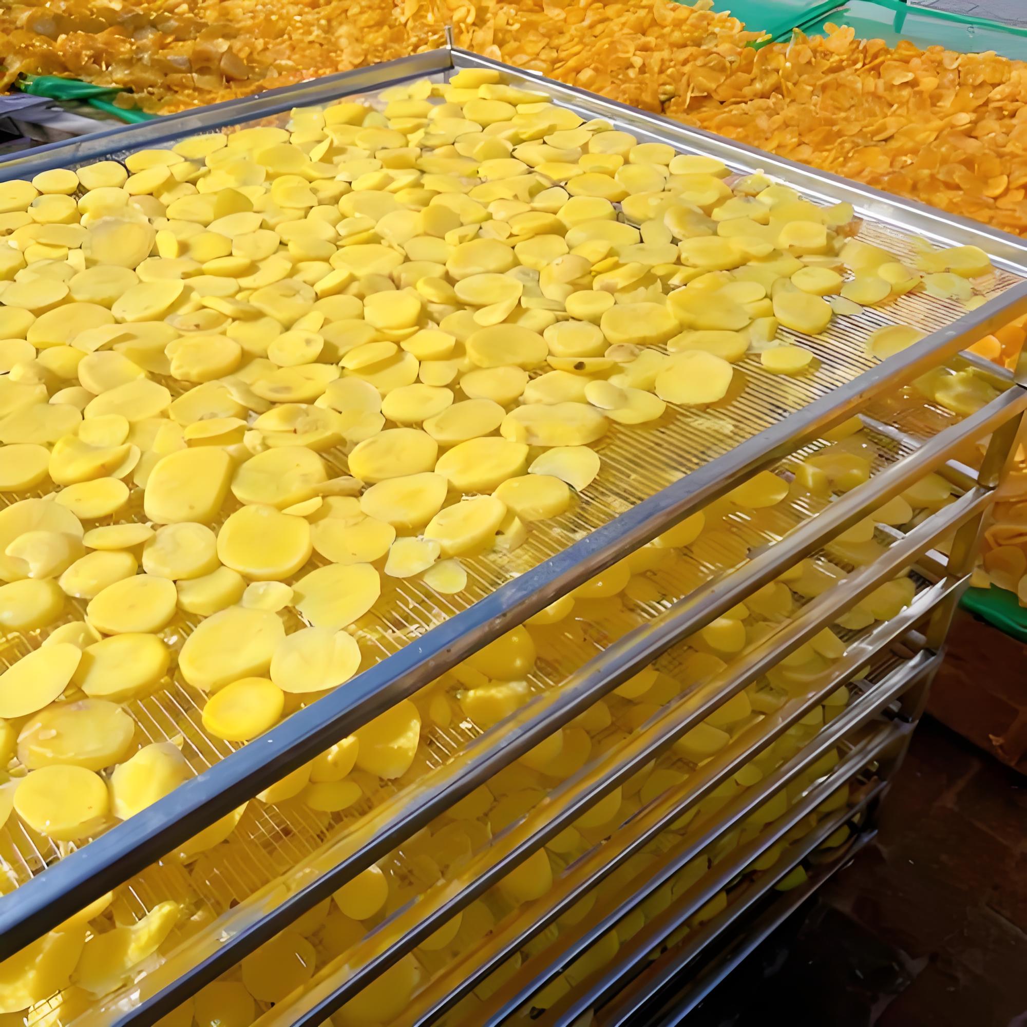 potato drying (3)