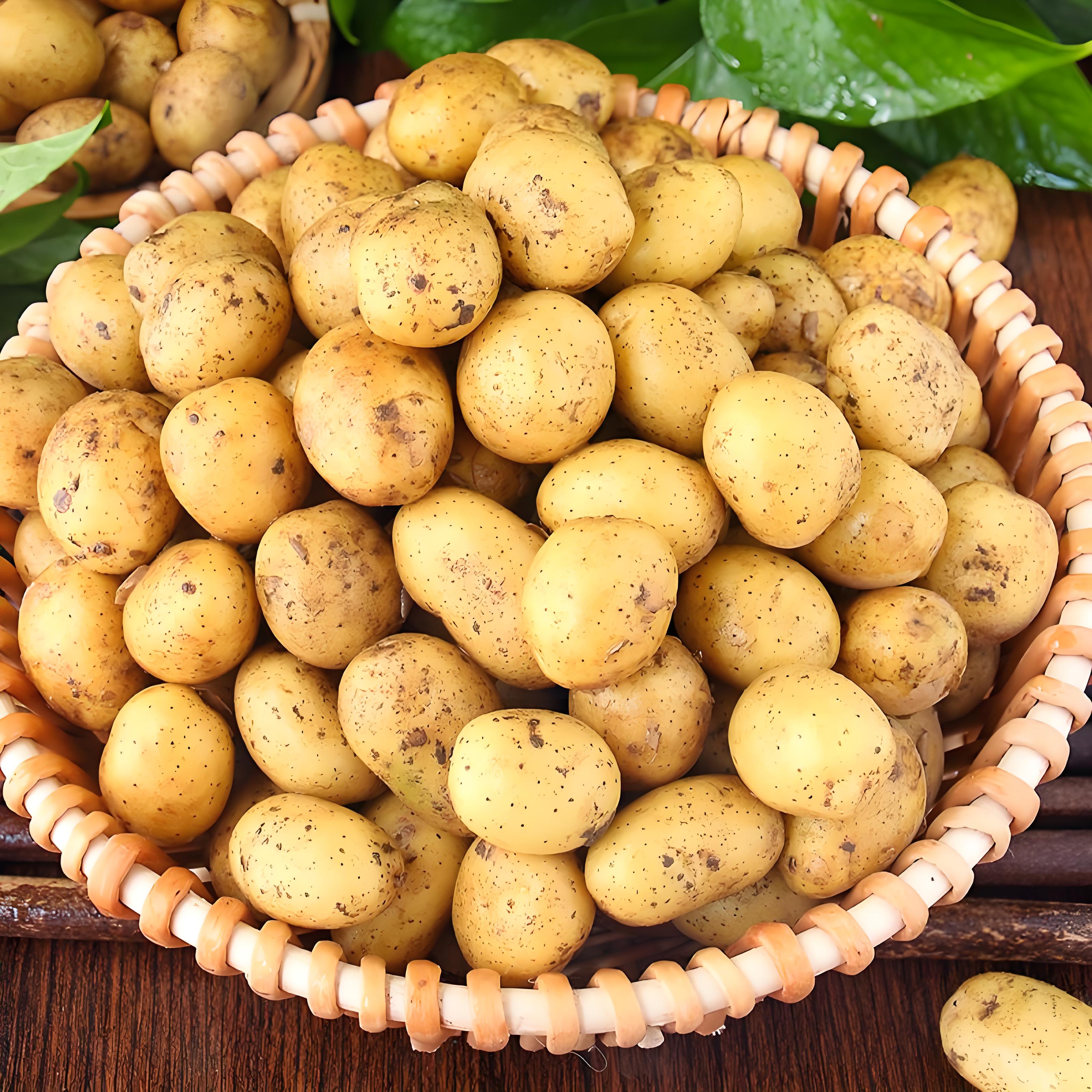 potato